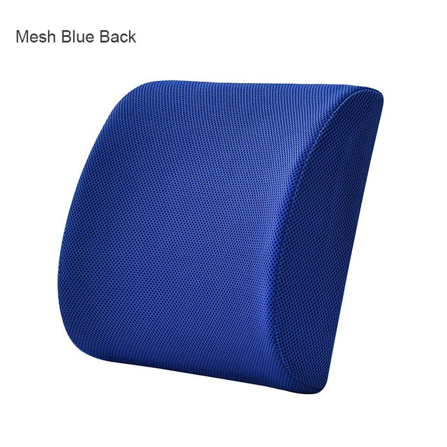 Mesh Blue Back Cushion